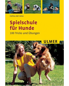 Spielschule für Hunde