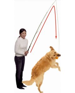 Dog Dangler Trainingsangel von Karlie