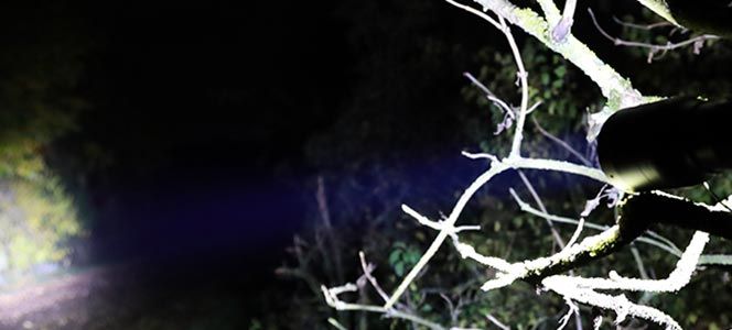 LED Lenser Taschenlampe